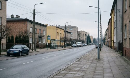 Kontrola drogowa w Bielsku-Białej: 29-latek złamał dożywotni zakaz i prowadził pod wpływem środków odurzających