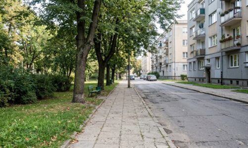 Obecność dzików w Łodzi – jak zachować się w przypadku spotkania ze zwierzęciem?