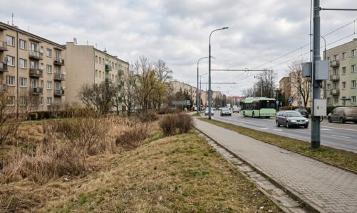 Sezonowy wzrost liczby pożarów traw w Bielsku-Białej. Komunikat straży pożarnej