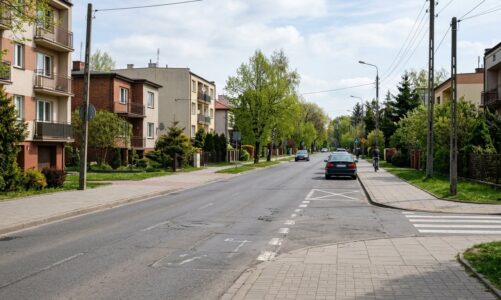 Zmiany w organizacji ruchu na ul. Lukrecjowej w Gdyni