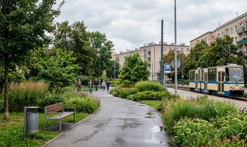 Wrocław: Petycja dotycząca ochrony bioróżnorodności w zieleni miejskiej